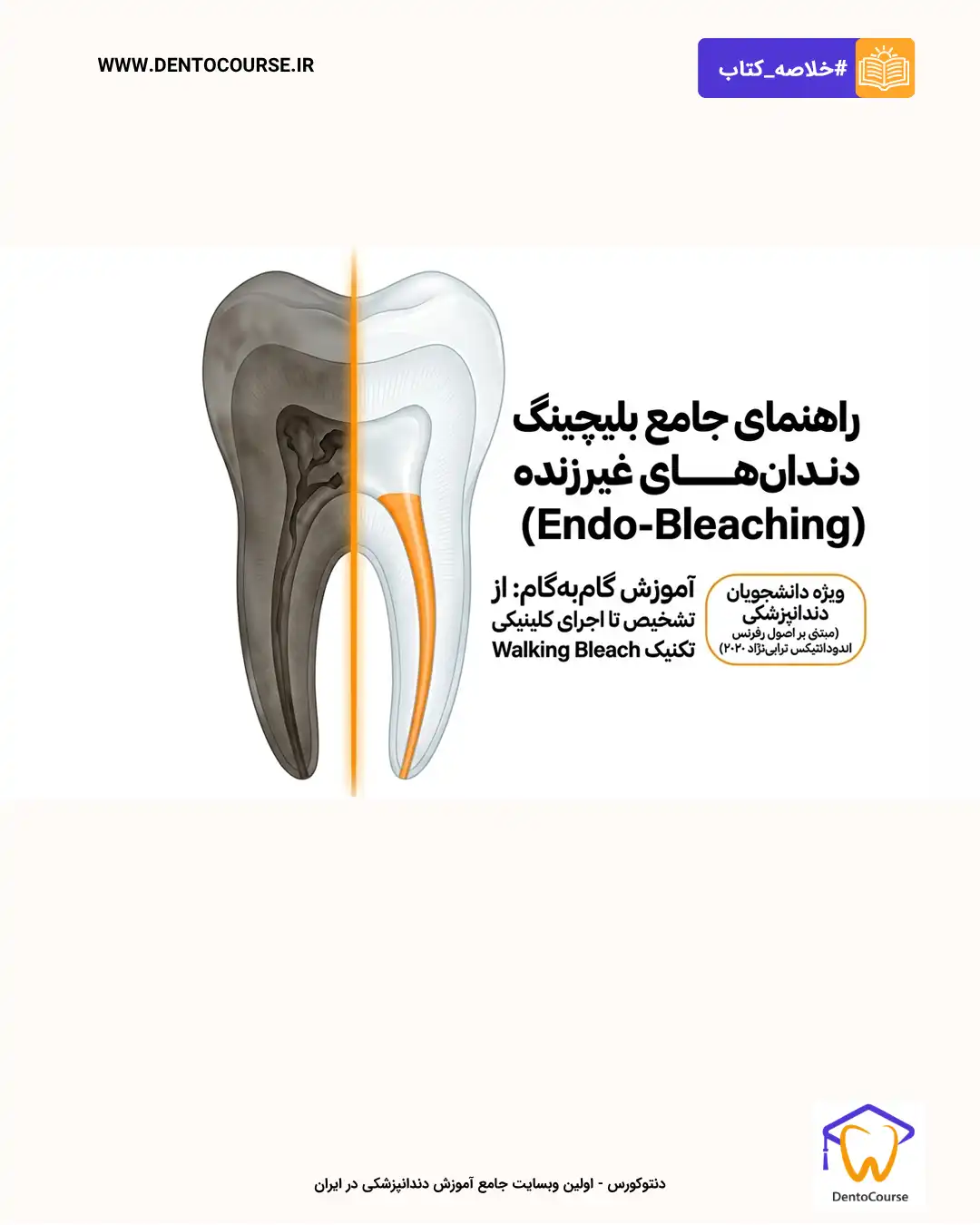اندوبلیچ 02