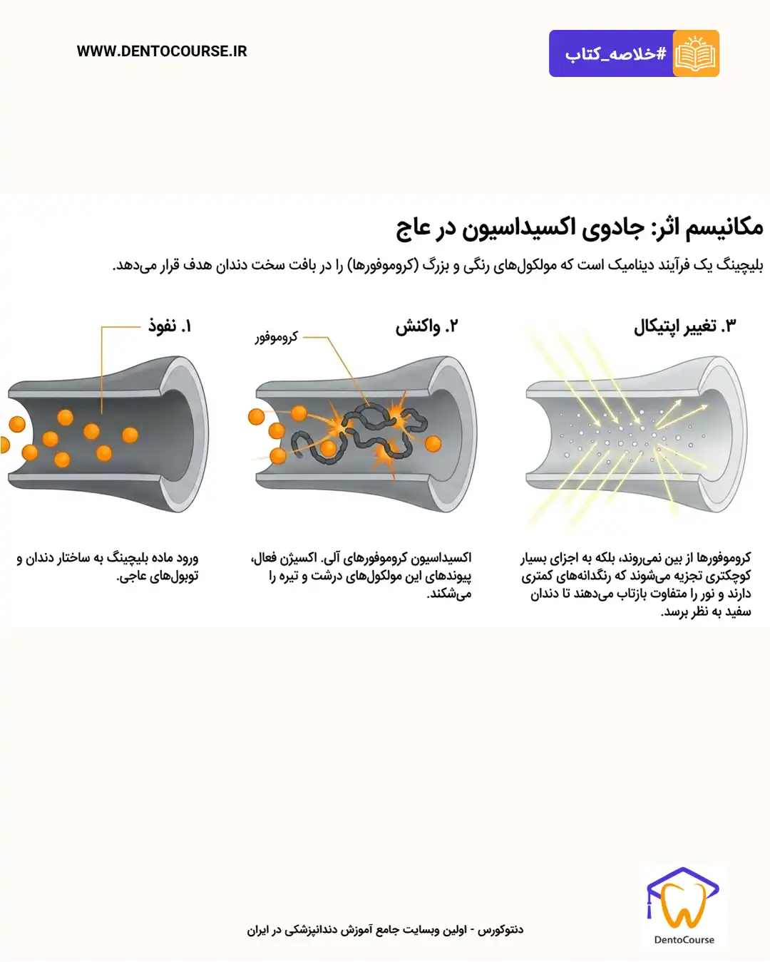 اندوبلیچ 04