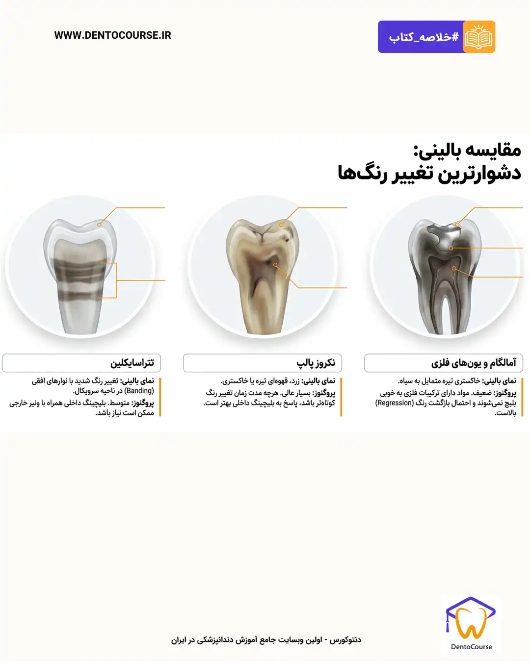 اندوبلیچ 06