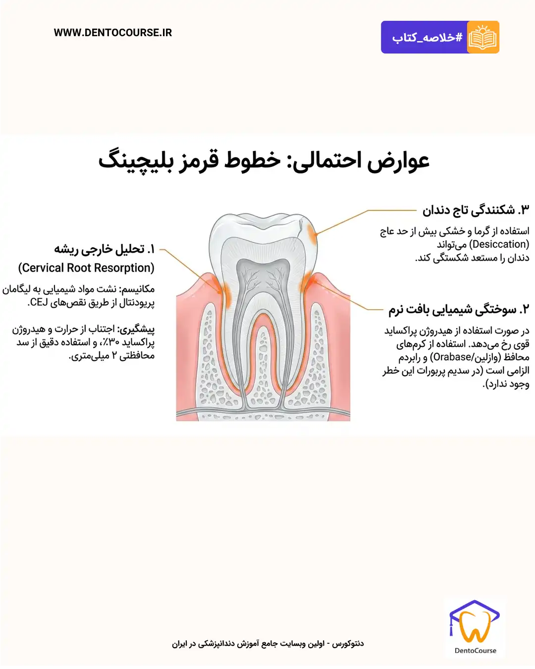 اندوبلیچ 13