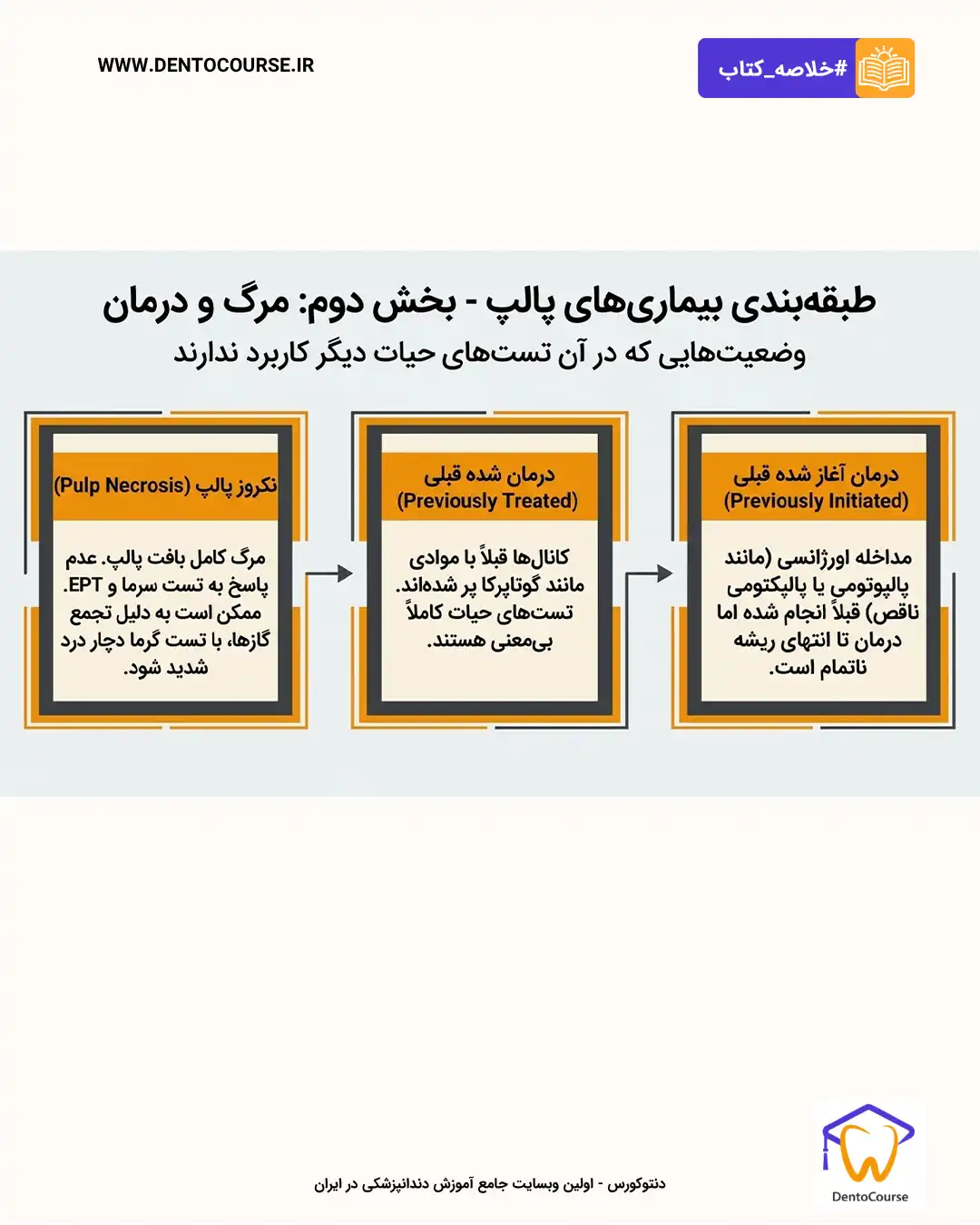 تشخیص اندو 13