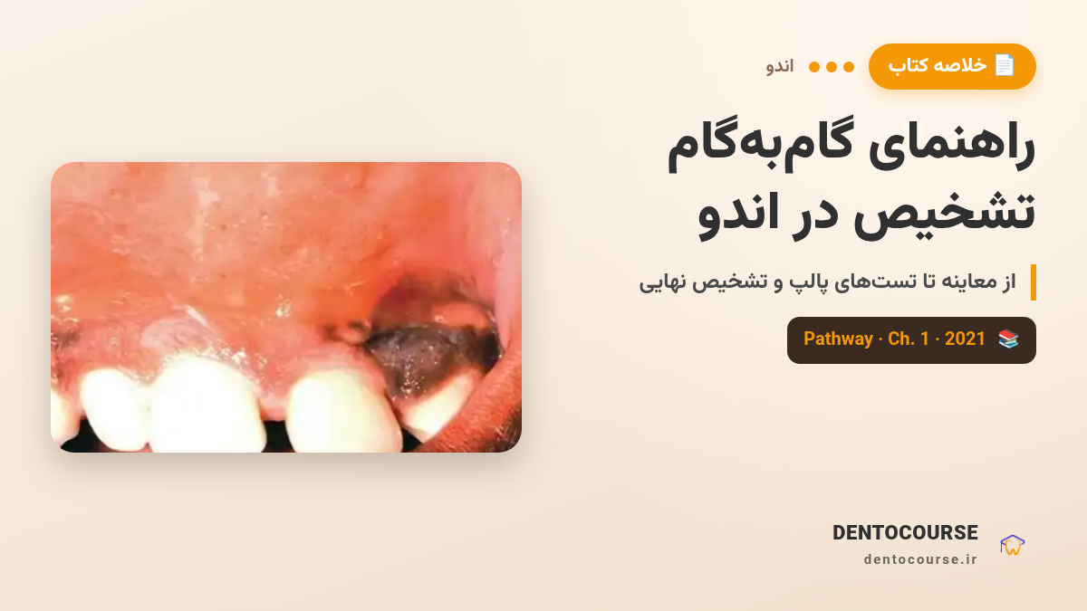 راهنمای گام به گام تشخیص در اندو (دنتوبوک pathway)
