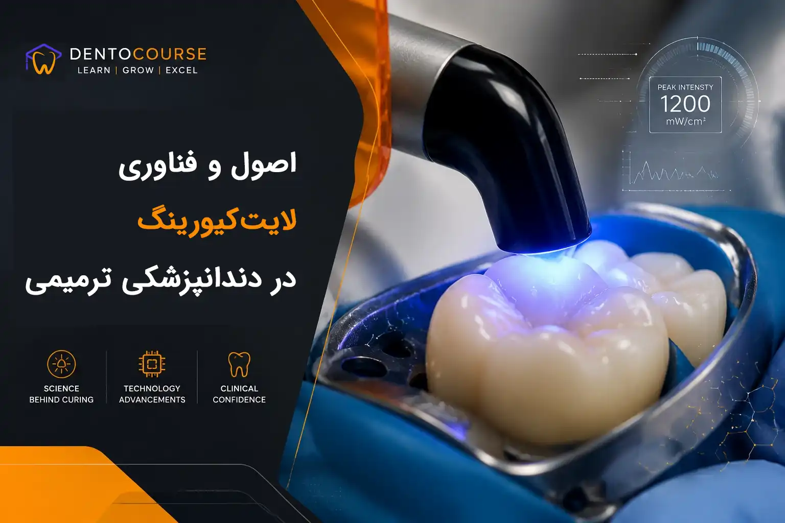 لایت کیور